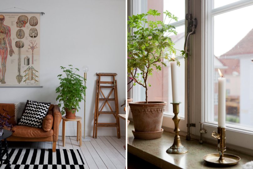 sfd90610a439ce54603ac6823680be560e9-jpgsizex-jpgsizey