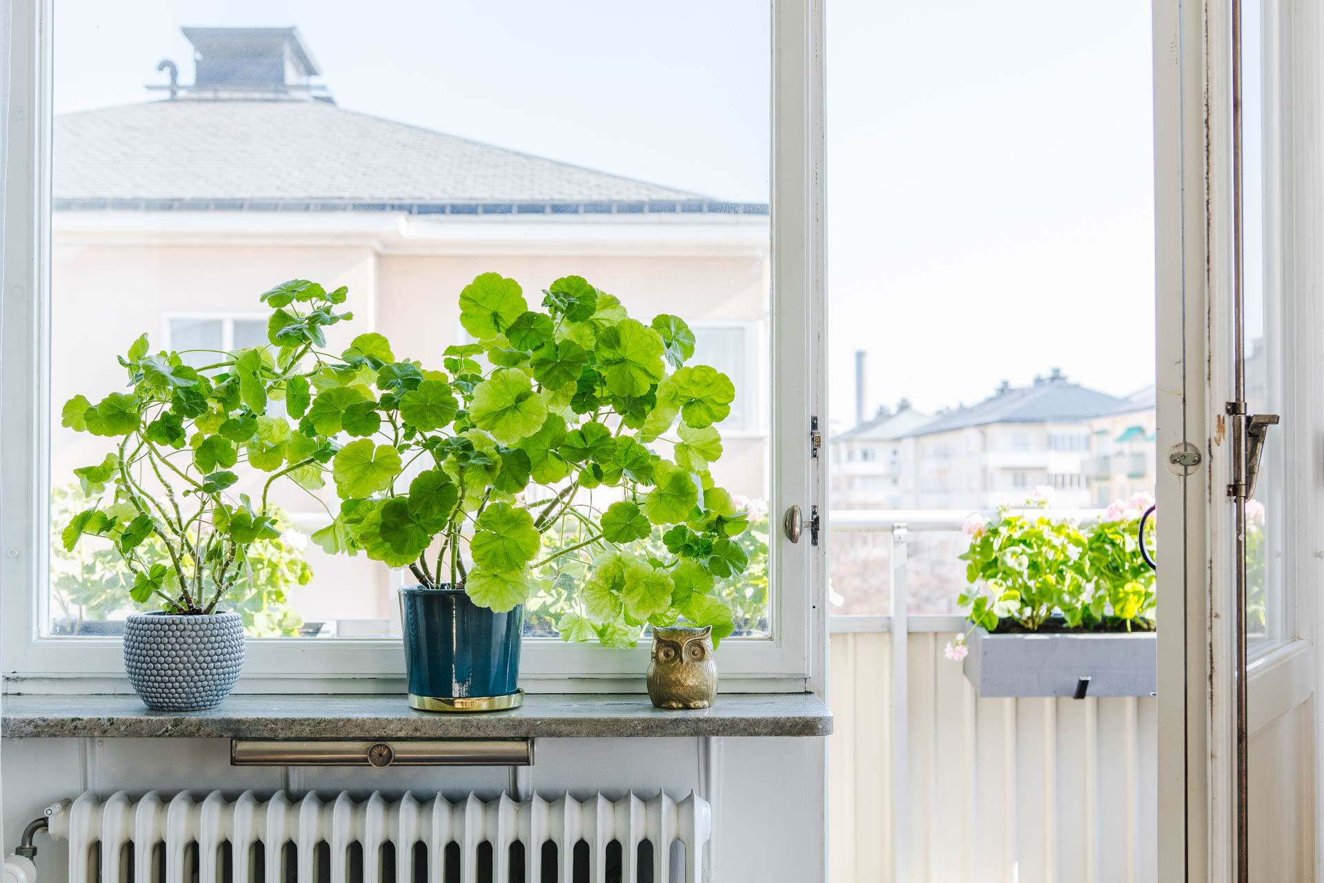 Nooks-Erik-Dahlbergsgatan-29-08