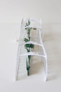 HANNAH-GARDEN-1-59ef8115379a9__880